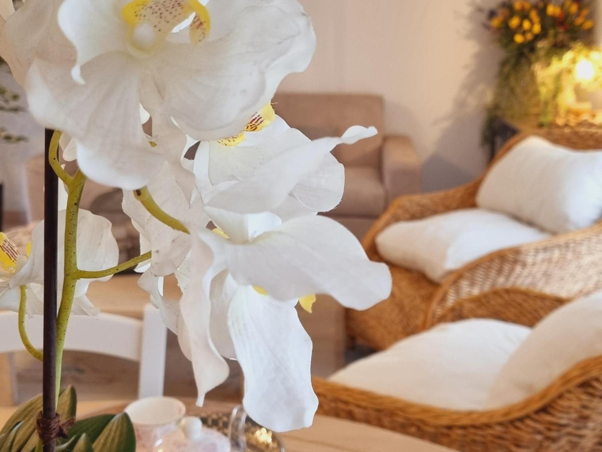 L'attico Di Beige - Luxury House Apartment *